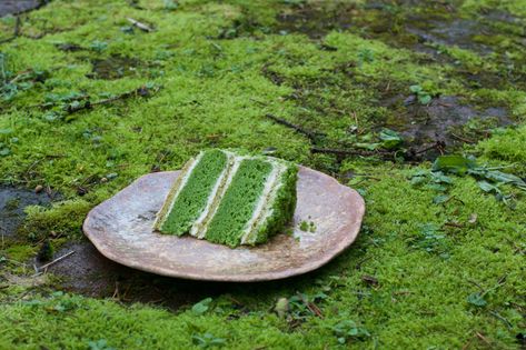 Nettle Cake: An Ode To Moss Gazing Turkish Cake, Nettle Cake, Moss Cake, Nettle Recipes, Matcha Almond, Cake Design For Men, Fairy Food, Lemon Buttercream, Lemon Cake Recipe