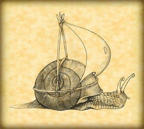 Snail Art, Armband Tattoos, Desenho Tattoo, A Drawing, Art Drawings Sketches, Cute Tattoos, 그림 그리기, Drawing Inspiration, Animal Drawings