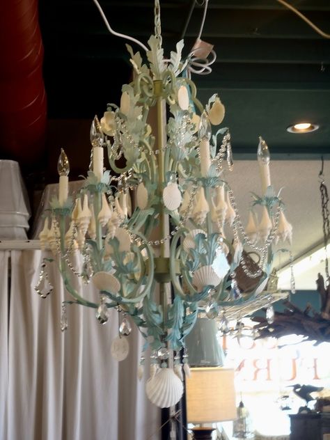 Candelabra Beachy Chandelier, Beach Chandelier, Rustic Nautical Decor, Seashell Chandelier, Diy Outdoor Lighting, Coastal Lighting, Shell Chandelier, Home Themes, Beachy Decor