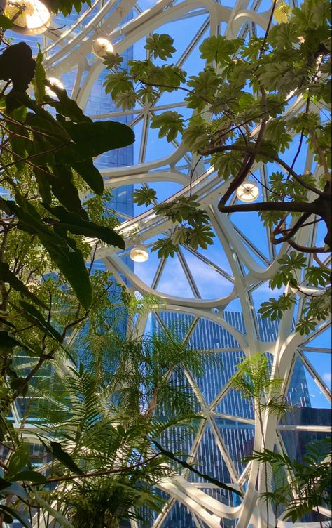 amazon sphere Amazon Spheres Seattle, Seattle Spheres, Seattle Vibes, Amazon Spheres, Sea Town, Washington Trip, Seattle Trip, Usa Trip, Insta Story Ideas