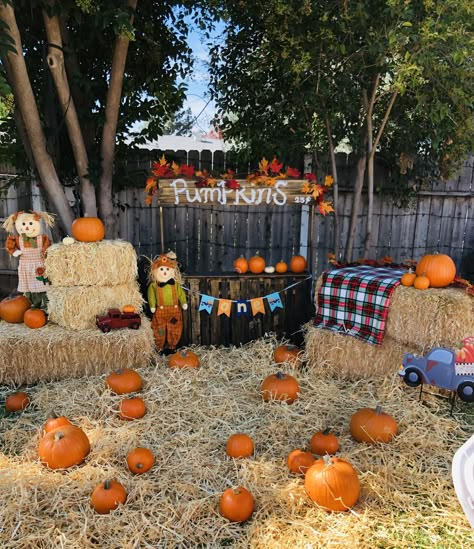 Scarecrow Birthday Party, Backyard Pumpkin Patch Party, Pumpkin Patch Halloween Decorations, Pumpkin Patch Ideas Festivals, Pumpkin Patch Decorating Ideas, Fall Photobooth, Fall Backdrops For Pictures, Pumpkin Patch Decoration, Turkey Dance