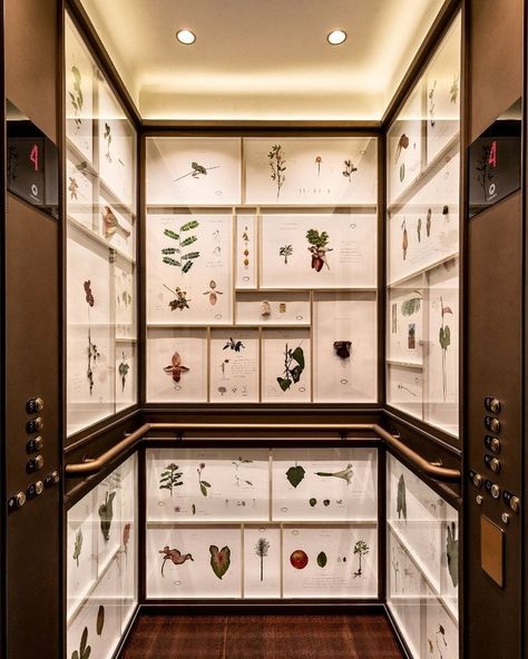 All Posts • Instagram Modal Window, Brazil Art, Elevator Interior, Elevator Lobby, Room Reservation, Rosewood Hotel, Lobby Reception, Global Home, Private Dining