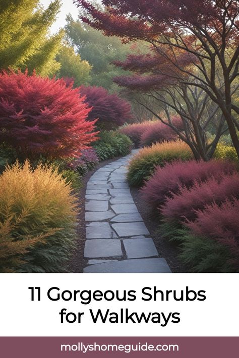 Looking to enhance your walkway with the best shrubs? These landscaping shrubs are perfect for adding greenery to your outdoor space. Whether you're looking for low-maintenance evergreen shrubs or flowering hedge plants, we've got you covered. Create a welcoming entrance with the best shrubs for walkways that are low-growing and easy to care for. From privacy bushes to shade-loving shrubs, find the perfect plants for walkways that suit your style and space requirements. Round Bushes In Front Of House, Landscape Planting Plan, Privacy Bushes, Flowering Hedge, Juniper Shrub, 11 Aesthetic, Holly Shrub, Shade Loving Shrubs, Landscaping Shrubs