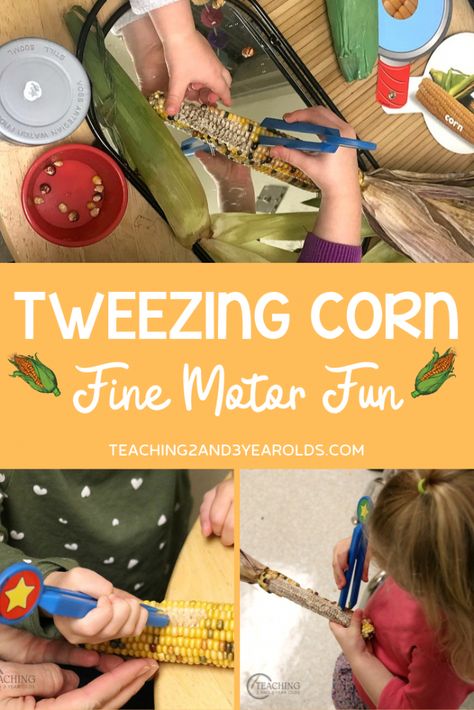 This tweezing corn activity is a fun way to build preschool fine motor skills. Perfect with your farm or fall theme! #finemotor #preschool #corn #fall #farm #age3 #age4 #teaching2and3yearolds Autumn Animals Preschool Activities, Corn Activity, Birds Preschool, November Themes, Corn Theme, November Preschool, Teal Room, Farm Lessons, Preschool Fine Motor Skills