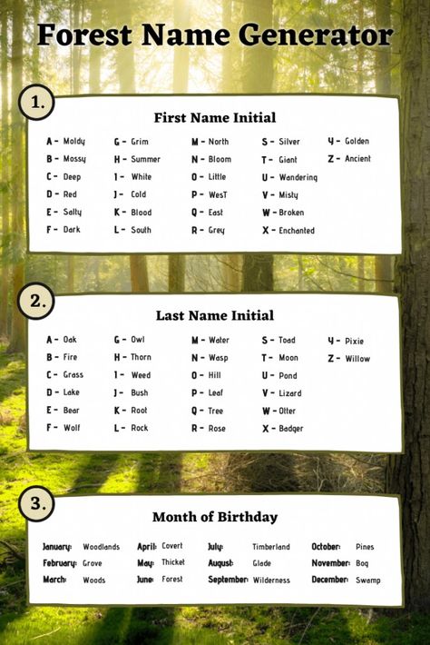 Forest Name Ideas, Forest Names, Book Title Generator, Names Nature, Character Name Generator, List Of Adjectives, Mystical Names, Fantasy Character Names, Weird Names