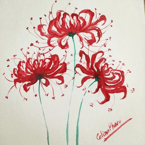 Spiderlily Drawing Sketches, Spider Lily Flower Drawing, How To Draw Spider Lily, Red Spider Lily Painting, Spider Lilies Drawing, Red Spider Lily Drawing, Spider Lily Drawing, Spider Lilies, Lilies Drawing