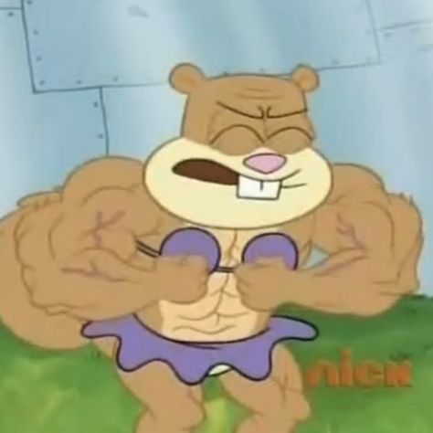 sandy cheeks Sandy Cheeks Spongebob, Sandy Spongebob, Reaction Stickers, Spongebob Sandy, Mommy Memes, Spongebob And Sandy, Spongebob Pics, Muscle Mommy, Sandy Cheeks