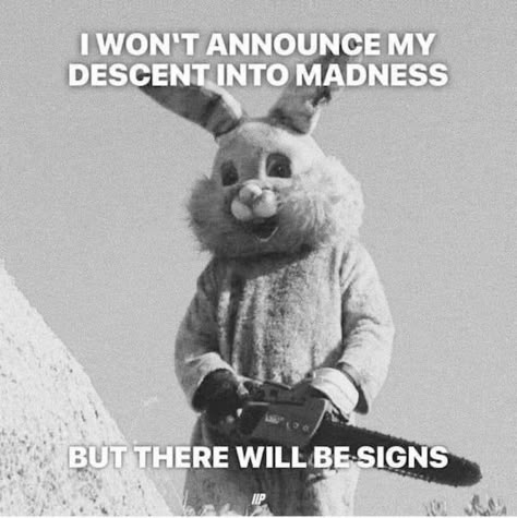 Man Meme, Bunny Man, Metal Detectors, Twisted Humor, Instagram Funny, Bones Funny, Funny Laugh, Memes Quotes, Mood Pics