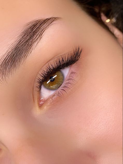 2D lashes with L curl 2d Lashes, L Curl Lashes, Curl Extensions, Lash Extentions, Eyelash Extentions, Curl Lashes, Eyelash Extensions, Eyebrows, Eyelashes