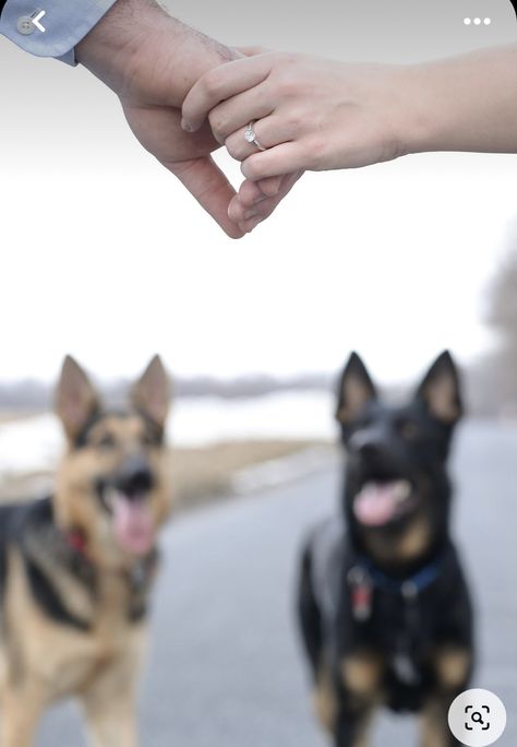 Couple Photoshoot With Dog, Dog Wedding Photos, Photoshoot With Dog, Engagement Photo Shoot Beach, Diy Photoshoot, Engagement Announcements, Country Engagement Pictures, Engagement Announcement Photos, Fall Engagement Pictures