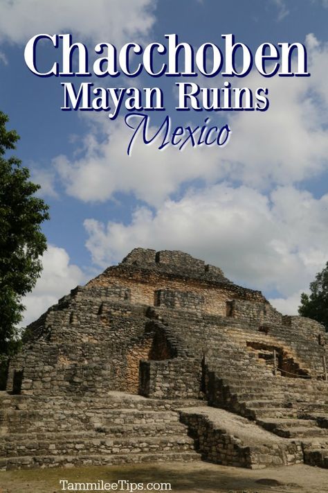 Chacchoben Mayan Ruins, Norweigen Cruise, Costa Maya Mexico, Aboriginal American, Costa Maya, Mayan Culture, Mayan Ruins, Shore Excursions, Native American History