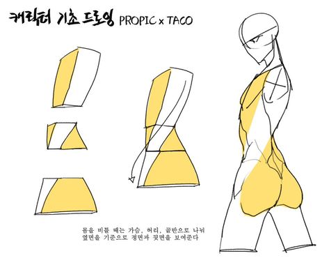 Drawing Basics, Reference Art, Body Drawing Tutorial, Human Anatomy Drawing, Human Anatomy Art, Body Reference Drawing, Drawing Studies, Body Anatomy, 캐릭터 드로잉