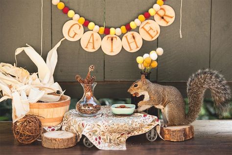 Themed Kitchen Ideas, Squirrel Party, Boy Baby Showers, Big Brother Little Sister, Space Garden, Fancy Dinner Party, Secret Squirrel, Flora Y Fauna, Themed Kitchen