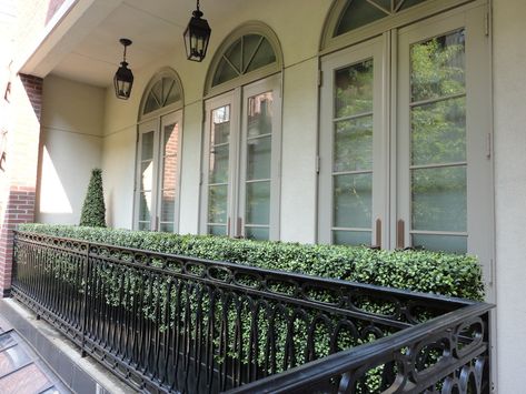 faux boxwood panels - balcony Balcony Privacy Plants, Faux Boxwood, French Balcony, Balcony Privacy, Home Atelier, Artificial Hedges, Boxwood Hedge, Privacy Plants, Outdoor Patio Designs