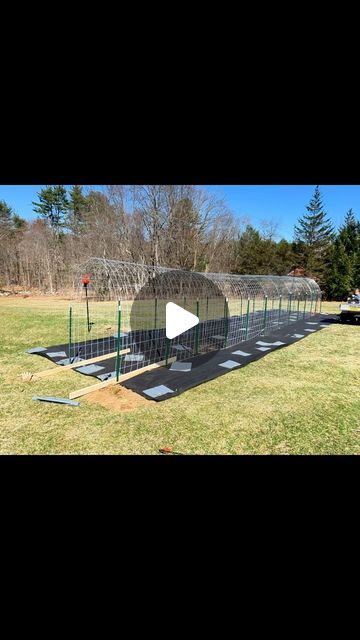 Aaron Letourneau on Instagram: "It’s been two seasons since we built the NH Garden Tunnel! This tunnel is great for way more than gourds. #gourds #gardentunnel #gourdart #cattlepanel #growyourcanvas" Pumpkin Tunnel Garden, Gourd Trellis, Gourd Tunnel, Garden Tunnel, Tunnel Greenhouse, Cattle Panels, Garden Yard Ideas, Gourd Art, Yard Ideas