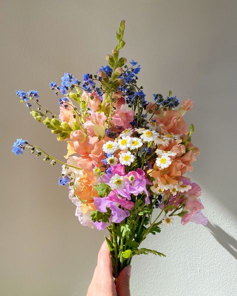 I’ve been a little frazzled all summer but at least I have pretty flowers to show for it 🌸👒☀️🐚🎀 Wild Flowers Aesthetic, Summer Flowers Wedding, Wild Flowers Bouquet, Daisy Bouquets, Pretty Bouquets, August Flowers, Summer Wedding Ideas, Boquette Flowers, Natural Flowers