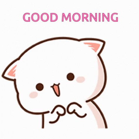 Peachcat Good Morning GIF - PEACHCAT Good Morning - Discover & Share GIFs Mochi Cats, Calin Gif, Good Morning Meme, Cute Good Morning Gif, Good Morning Cat, Happy Quotes Smile, Morning Cat, Good Morning Animation, Good Morning Beautiful Pictures