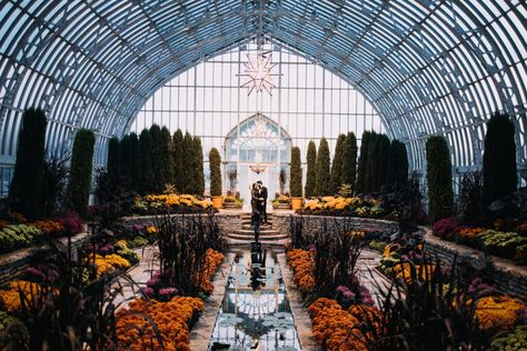 Como Zoo Sunken Garden Proposal Garden Proposal, Como Conservatory, Conservatory Wedding, Bronx Zoo, Sunken Garden, Engagement Ideas, Dream Engagement, Night Photos, Big Party