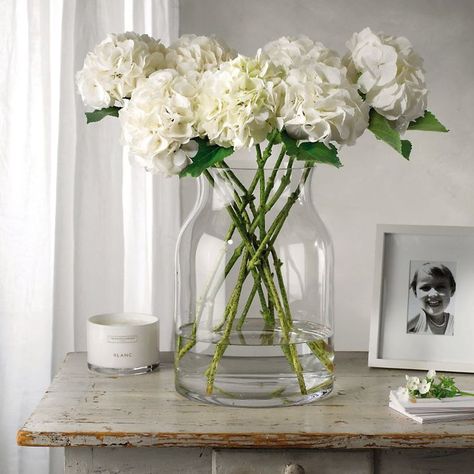 the simplicity of this is just stunning! Modern Glass Vases, Large Glass Vase, Glass Vase Decor, Clear Glass Vase, Clear Vase, Vase Arrangements, Clear Glass Vases, Wall Vase, Diy Vase