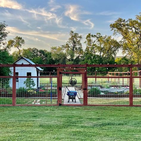 Big Fenced In Backyard, Large Fenced Garden, Garden Deer Fence Ideas, Garden Design Fence, Chicken Yard Fence, Fenced Garden Layout, Home Fence, Raised Garden Bed Fence, Tall Garden Fence