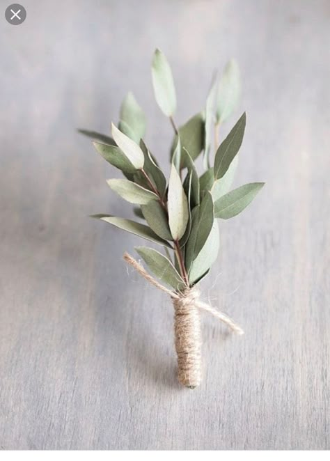 Eucalyptus Boutonniere, Church Wedding Flowers, Rustic Boutonniere, Groomsmen Boutonniere, Eucalyptus Wedding, Boutonniere Wedding, Wedding Flower Arrangements, Wedding Guide, Greenery Wedding