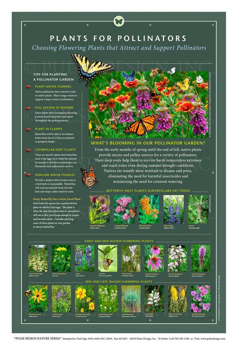 Outdoor Interpretive Signs Pollinator Garden Insects Monarch Butterfly Bee Native Flower Plant Guide — Pulse Design Outdoor Interpretive Signs Bee Yard Design, Butterfly Garden Design Layout, Native Plant Garden Design, Pollinator Garden Ideas, Backyard Butterfly Garden, Flowers For Pollinators, Home Flower Garden, Bee Habitat, Therapy Garden