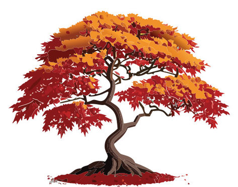 Tree Vector, Japanese Maple Tree, Japanese Maple, Maple Tree, Free Illustrations, Royalty, Royalty Free, Clip Art, Illustrations