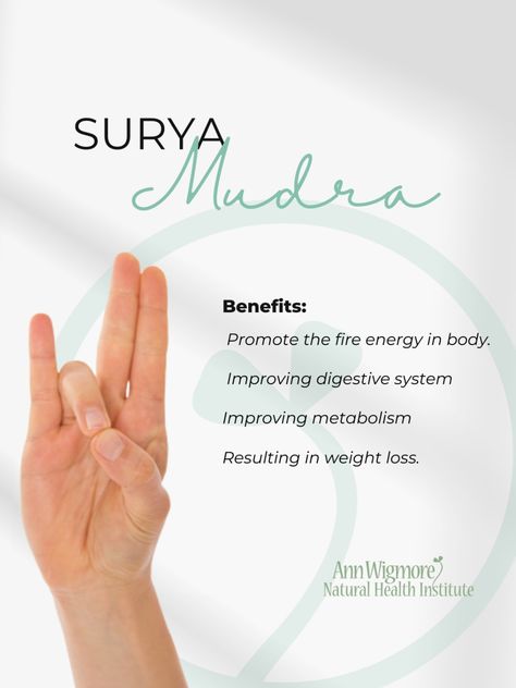 Did you know Yoga can help you to lose weight? One of the mudras that promote weight loss is Surya Mudra. To practice the Surya mudra for weight loss, it is important to first sit comfortably with your spine erect. Next, fold your ring finger and use your thumb to hold the fingertip. Your palms should be facing upwards and placed on your thighs or knees in a comfortable position. We offer Yoga Teacher Certification. Visit our website for program dates. Surya Mudra, Varun Mudra Benefits, Mudra For Healthy Liver, Mudra To Increase Memory, Belly Fat Reduce Mudra, Mudra For Gastric Problem, Apana Vayu Mudra, Wait Loss, Learn Yoga Poses