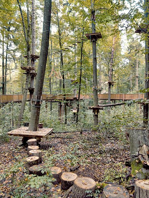 low and high ropes Playful Garden, Outdoor Forts, Kids Outdoor Playground, Backyard Obstacle Course, Outdoor Play Spaces, Tree House Diy, Kids Outdoor Play, Tree House Designs, Ropes Course