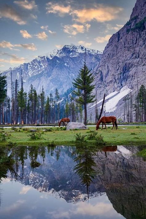 Mahodand Lake, Pakistan Photography, Muharram Wallpaper, Lovely Landscapes, Pakistan Culture, Hindu Kush, Hunza Valley, Aerial Photography Drone, Pakistan Travel