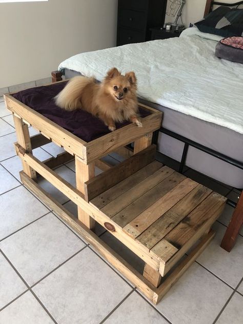 Diy Dog Loft Bed, Diy Bed Extension For Dog, Bed Extension For Dog, Beds From Pallets, Diy Raised Dog Bed, Diy Dog Houses, Dog Stairs Diy, Diy Elevated Dog Bed, Dog Steps For Bed