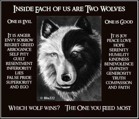 Which Wolf Wins?  The One You Feed Most.   #Iam4Humankind The One You Feed, American Quotes, Native American Wisdom, Two Wolves, Native American Quotes, American Story, Wolf Quotes, Self Pity, Bad Wolf