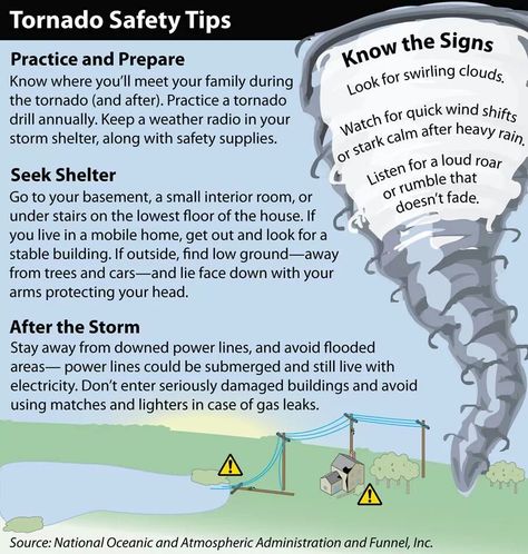 Tornado Safety Tornado Safety Tips, Tornado Preparedness, Tornado Safety, Weather Science, Weather And Climate, Disaster Preparedness, Emergency Prepping, Homeschool Science, Science Fair