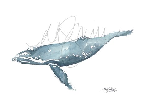 Whale by AnArtworkADay on Etsy https://www.etsy.com/listing/270649222/whale Whales Watercolor, Whale Shark Tattoo, Whale Art Print, Whale Painting, Fauna Marina, Watercolor Whale, Baby Whale, Shark Tattoos, Whale Art