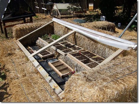 cold frame Serre Diy, Garden Homestead, Greenhouse Ideas, Straw Bales, Fall Garden Vegetables, Greenhouse Plans, Market Garden, Hay Bales, Diy Greenhouse