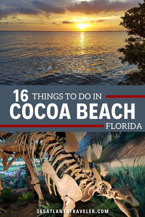 Visitors to Florida have the most perfect getaway option in the form of Cocoa Beach, a fun beach town lying south of the Cape Canaveral Air Force Station. With outdoor activities, plenty of surfing, fun museums, and amazing parks, Cocoa Beach has something for everyone. Ready to get started? Here are 16 things to do in Cocoa Beach that you're not going to want to miss. Cocoa Florida, Cape Canaveral Florida, Florida Travel Destinations, Cocoa Beach Florida, Family Vacay, Cape Canaveral, Fun Beach, Cocoa Beach, Future Travel