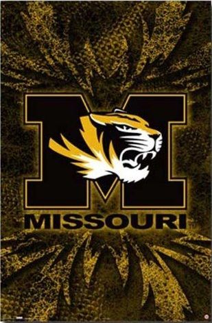 Missouri Tigers Mizzou Football, Nuclear Reaction, Football Board, Cold Fusion, Baseball Teams Logo, Mizzou Tigers, Tiger Wallpaper, Logo Mascot, Tiger Football