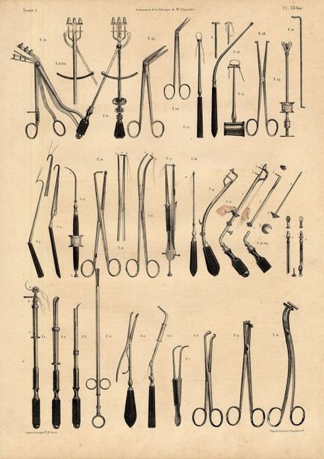 Medical Wallpaper, Medicine Student, Medical School Inspiration, The Maze Runner, Medical Instruments, Human Anatomy Art, Medical Anatomy, Vintage Medical, Free Medical