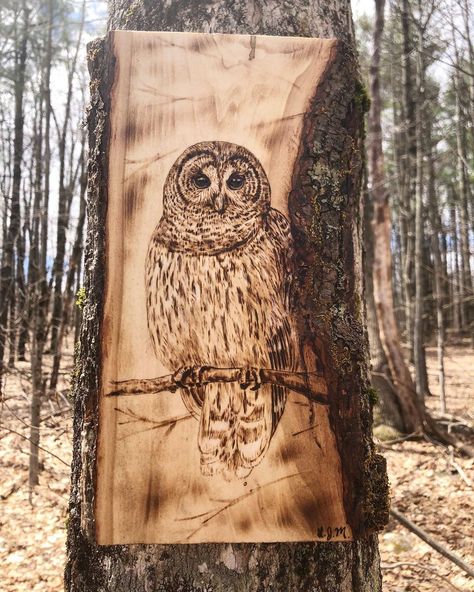 Wood Burning Owl Patterns, Wood Burned Animals, Owl Pyrography Patterns, Owl Wood Burning, Cat Pyrography Wood Burning, Fox Wood Burning, Wood Burning Art Owl, Pyrography Patterns, Pyrography Art