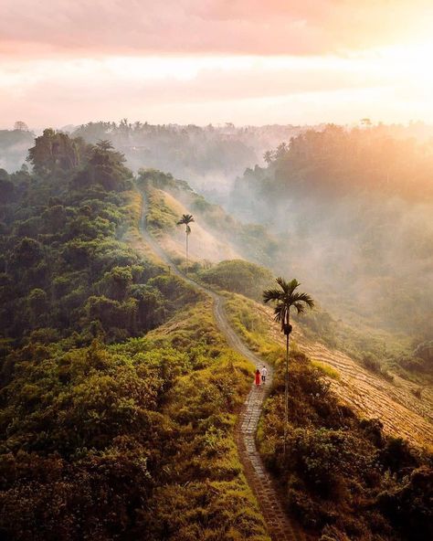 Campuhan Ridge Walk, Bali Campuhan Ridge Walk, Bali Retreat, Bali Itinerary, Voyage Bali, Bali Holidays, Surf Camp, Wedding Planning Websites, Ubud Bali, Surf Trip