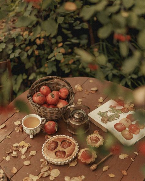 Cottagecore Autumn, Autumn Cottagecore, Fall Cottage, Fall Picnic, Cottage Aesthetic, Autumn Magic, Over The Garden Wall, Cottage Core Aesthetic, Fall Inspo