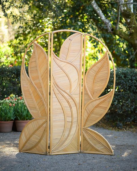 Introducing the Crespi Screen - a stunning 1970s vintage pencil reed rattan room divider designed by Gabriella Crespi. 🍃 Create a unique backdrop to any space with this unique find!✨ #gabriellacrespi #eventrentals #vintageeventrentals #vintagerentals #specialtyrentals #specialtyeventrentals #backdrop #rattan Rattan Room Divider, Rattan Room, Spa Retail, Unique Backdrop, Gabriella Crespi, Divider Design, Vintage Pencil, Vintage Rentals, Divider