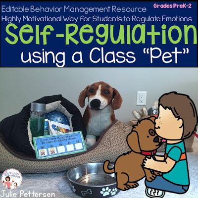 Class Pet Stuffed Animal, Head Start Classroom, How To Teach Students, Classroom Pets, Emotion Words, Calm Down Corner, Calming Strategies, Emotional Needs, Disruptive Technology