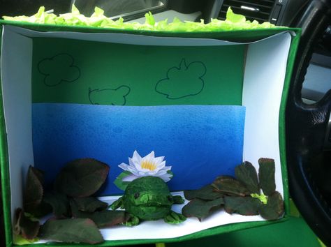 Frog diorama Frog Diorama, Animal Habitats, Rhyming Words, Girls School, Class Projects, Zoology, Amphibians, School Projects, Frogs