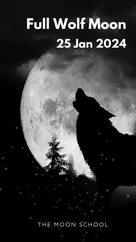 Full Wolf Moon January 2024: Here’s Everything You Need to Know Full Wolf Moon, Full Moon Wolf, Lunar Witch, Moon Wolf, Wolf Moon, January 2024, Full Moon, The Moon, Need To Know