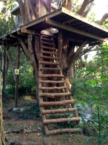 DIY Treehouse Ideas ~ Bees and Roses Treehouse Design Architecture, Diy Treehouse, Backyard Treehouse, Tree House Interior, Treehouse Ideas, Simple Tree House, Trees Diy, Treehouse Masters, Kids Backyard