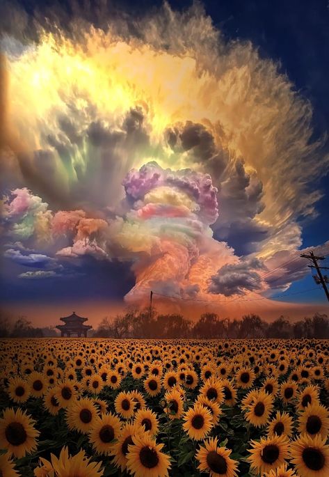 Rare Natural Phenomena, Amazing Photography Unbelievable, Future Nature, Image Aesthetic, Night Rainbow, Dreamy Clouds, Cloud Formations, Beautiful Clouds, Rainbow Sky