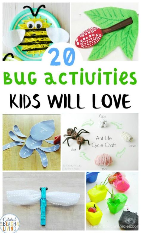 Bug Activities for Preschool, Preschool Insect Theme, These Bug Activities for Preschool and Kindergarten are great for a bug theme. You'll find fun learning activities, crafts, ideas, printables and insect science activities. Great ideas for a preschool insect theme or hands-on activities for your kids Insect Ideas For Preschoolers, Insect Preschool Activities, Insect Theme Preschool Activities, Insect Activities For Toddlers, Insect Activities Preschool, Insect Activities For Kids, Bug Activities For Kids, Ladybug Life Cycle Activities, Preschool Bug Theme