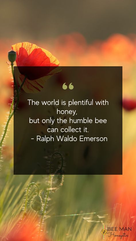 This reminds us that we simply need to find beauty in every situation, just as the bees did when they discovered honey. 🐝🍯 #beemanhoneystix #honeystixincalifornia #tuesdayquote #beehumble #honeybee Honey Bee Quotes Inspiration, Bee Quotes Inspiration, Honey Bee Quotes, Honey Inspiration, Bee Sayings, Honey Quotes, Bee Quotes, Card Writing, Humble Bee