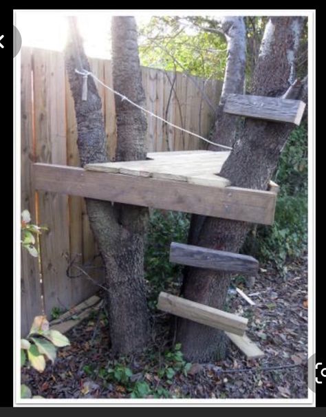 Simple Tree House, Backyard Fort, Tree House Plans, Tree Fort, Tree House Diy, Tree House Kids, Pretty Trees, Cool Tree Houses, Simple Tree